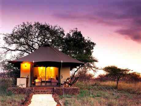 White Elephant Game Lodge